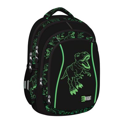 Ghiozdan BP04 ST Right Reflective T-Rex 4 compartimente, 43x32x20 cm BPTCMJ265946