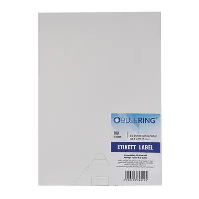 Etichete Bluering, 38.1 x 21.2 mm, 6500 etichete, 100 coli/top BPTCBR000134