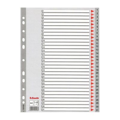 Index din plastic Esselte, A4, index 1-31 BPTCSL4004