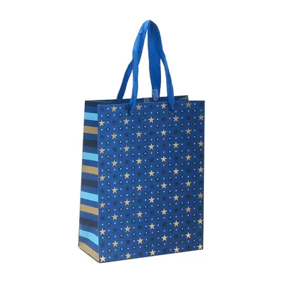 Punga cadou 17x23x8 cm, design stelute BPTCTV730407