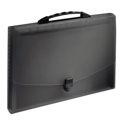 Mapa tip proiect cu maner Esselte VIVIDA, PP, negru BPTCSL080904