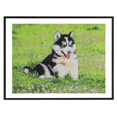 Pictura diamant Creative Craft, model caine, 40x50 cm BPTCJK111384