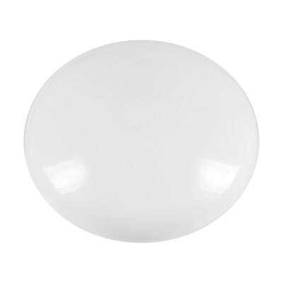 Set 10 magneti Westcott, d25 mm, alb, sustin 4/6 coli, 80g BPTCWS108080