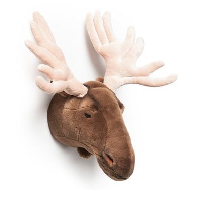 Decoratiune Wild  Soft Cap de Elan - Alfred