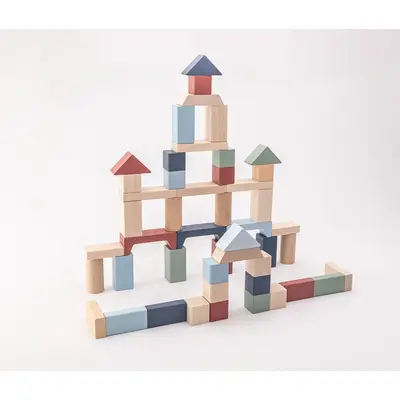 Jucarie din lemn, Cubika, Kit 50 de piese de constructie - Pastel