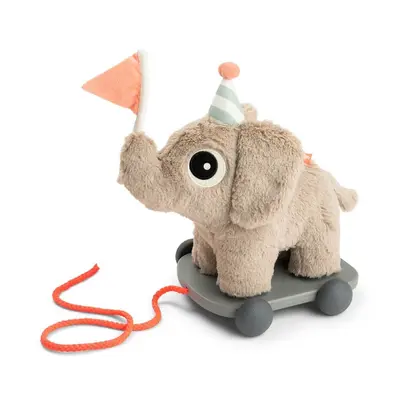 Jucarie Push Along 2 in 1 Done by Deer Elefant Sand