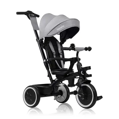 Tricicleta copii, Lionelo, Berry, 2 in 1, Multifunctionala, Suport picioare, Control al directiei, Scaun reversibil, Rotire 360 grade, Functie de roata libera, Utilizare pana la 5 ani, Constructie din otel, Conform cu standardul EN71, Gri BYNLO-BERRY_GREY