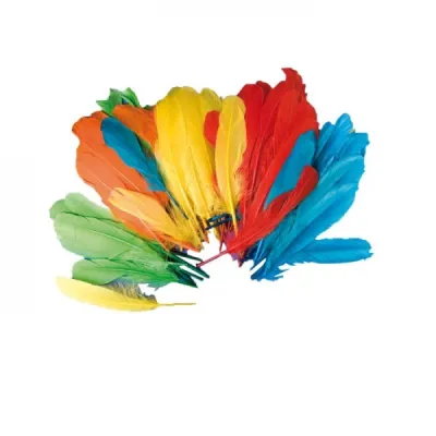 Pene indian - okepb2470046