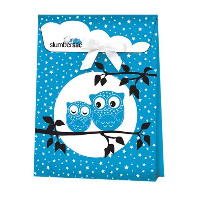 Ambalaj cadou Blue Owls BBXUK-GIFT-OWLS