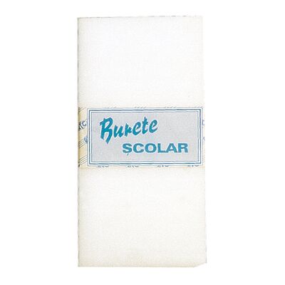 Burete scolar - BPTCGT100