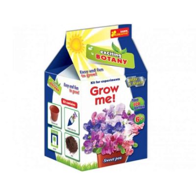 Joc pentru copii Mazare Dulce RANOK - SOLRN15160330