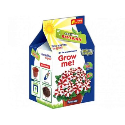 Joc pentru copii Petunia RANOK - SOLRN15160327