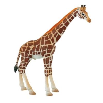 Girafa mascul - BL4007176637104