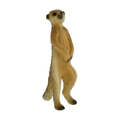 Meerkat - BL4007176644539