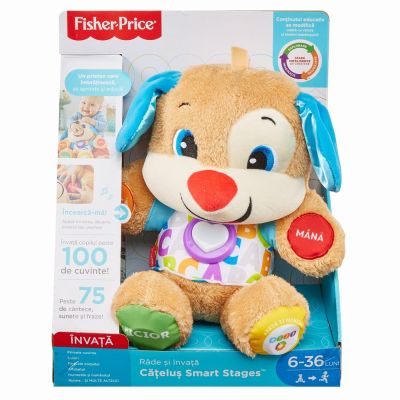 CATELUSUL VORBITOR SI EDUCATIV LIMBA ROMANA FISHER PRICE VIVMTFPN99