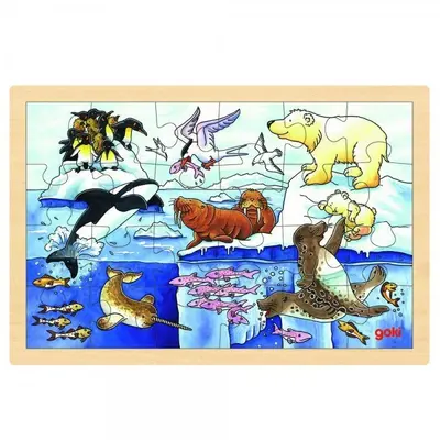 Puzzle Viata polara - OKEGOKI57889