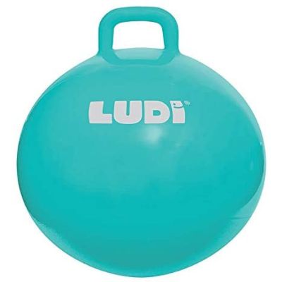 LUDI Minge saltareata BLUE 55 cm DNBLUD90104