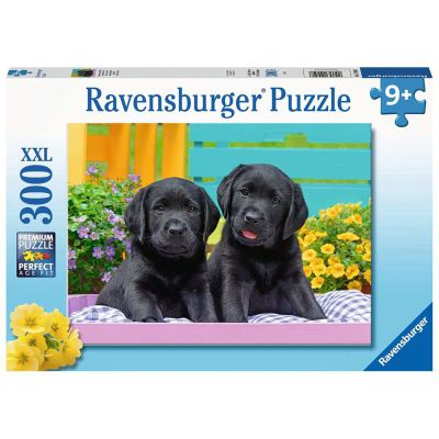 PUZZLE CATELUSI, 300 PIESE - ARTRVSPC12950
