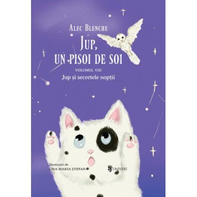 Jup, un pisoi de soi – volumul viii – jup si secretele noptii