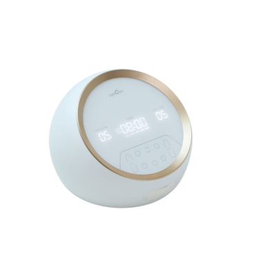 Pompa de san electrica premium dual s