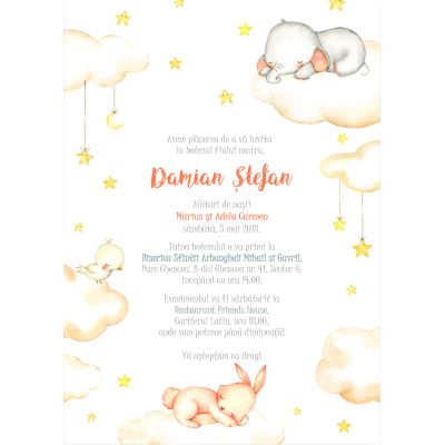 Invitatie de botez Vise colorate - SHYFL020