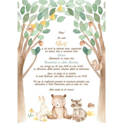 Invitatie de botez Padurea fermecata - SHYFL025