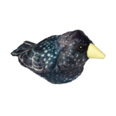 Pasare cu sunet graur - starling wr22241