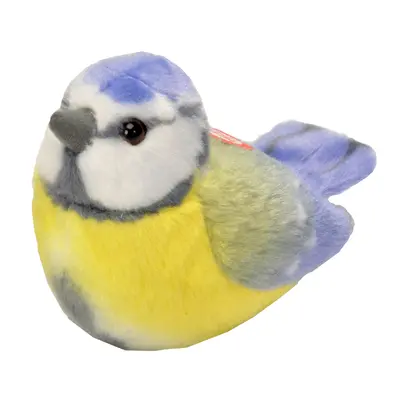 Pasare cu sunet pitigoi albastru - blue tit wr19483