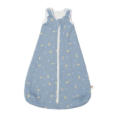 Sac de dormit ergobaby clasic stellar 0-6 luni, 1 tog tnaslbsmsteel1