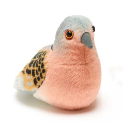 Pasare cu sunet turturea - turtle dove wr23713