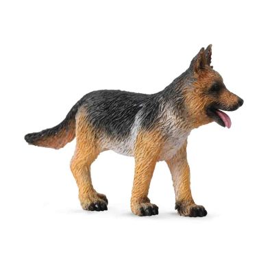 Ciobanesc german pui - okecol88553s