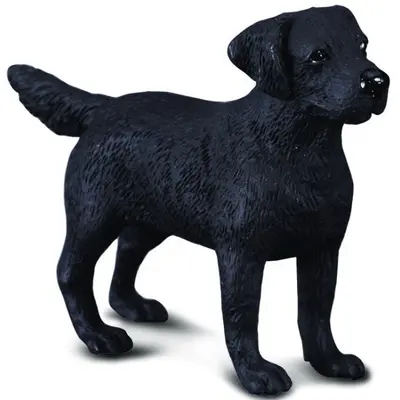 Figurina labrador retriever m collecta  - okecol88076m