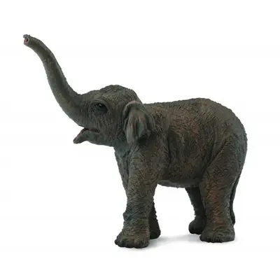 Figurina pui de elefant asiatic s collecta - okecol88487s