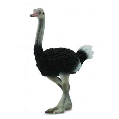 Figurina strut l collecta - okecol88459l