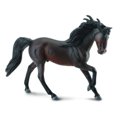 Murg andaluz - okecol88463xl