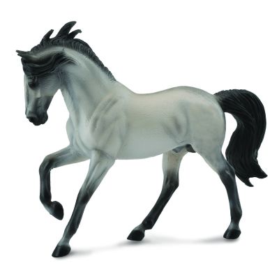 Murg andaluz gri - okecol88464xl