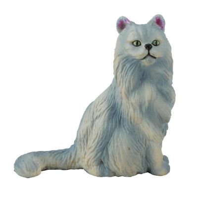 Pisica persana-sezand s collecta  - okecol88329s