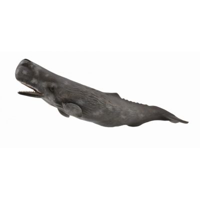 Balena casalot - collecta - okecol88835xl