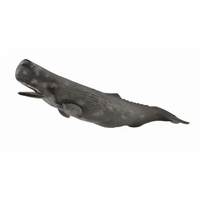 Balena casalot - collecta - okecol88835xl