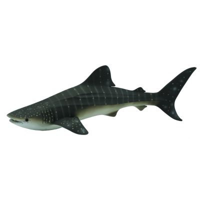 Balena rechin - collecta - okecol88453xl