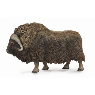 Bivol - collecta - okecol88837l