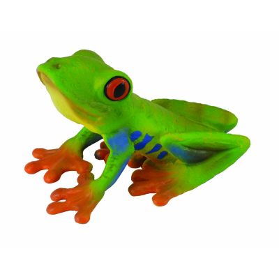 Broasca cu ochii rosii - collecta - okecol88386m