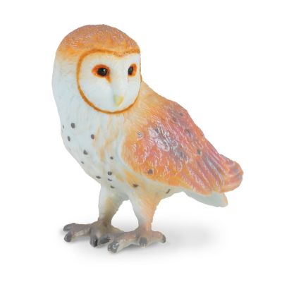 Bufnita de hambar - okecol88003s