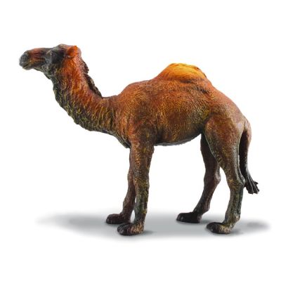 Camila - collecta - okecol88208l