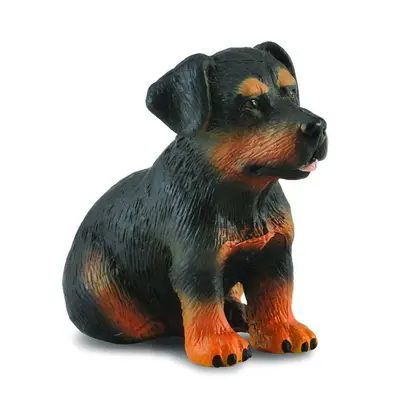 Catelus rottweiler - collecta - okecol88190s