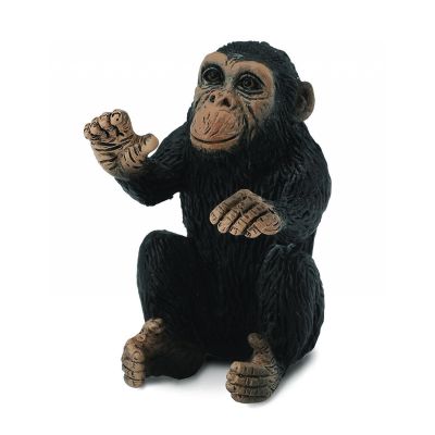 Cimpanzeu pui - collecta - okecol88494s