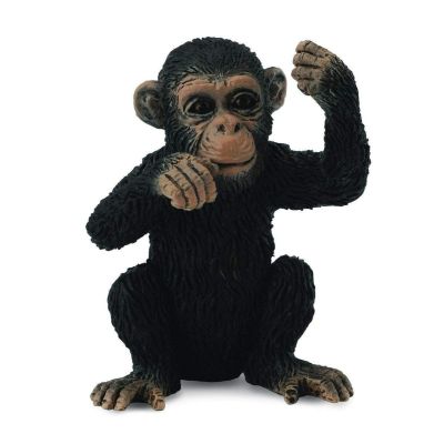 Cimpanzeu pui - collecta - okecol88495s