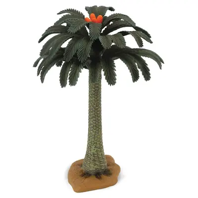 Copac cycad collecta - okecol89332cb
