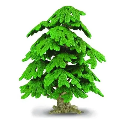 Copac gingo biloba 25 cm collecta - okecol89329cb