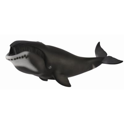 Figurina balena bowhead xl collecta - okecol88652xl